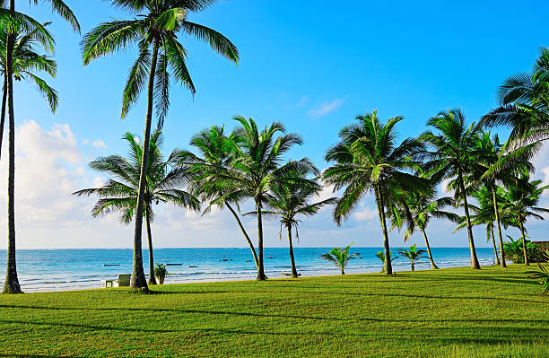 Malindi to Diani